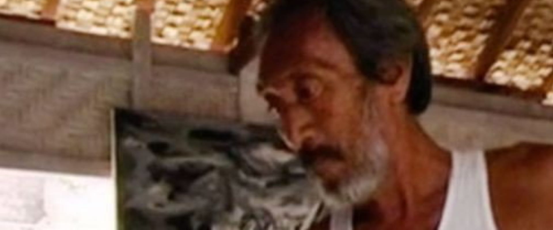 Documentary backdrop image for An Untitled Life (2008)
