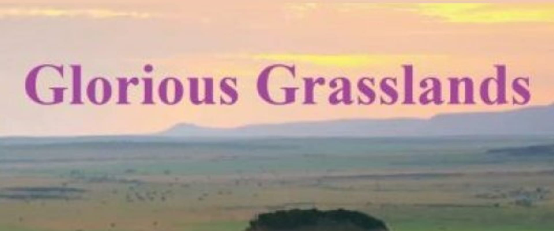 Documentary backdrop image for Glorious Grasslands (2021)