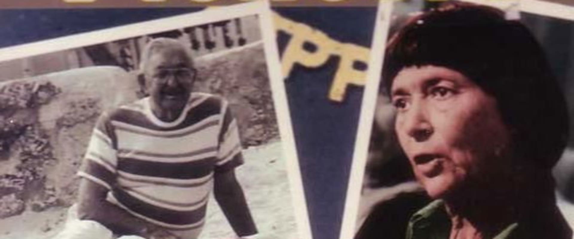 Documentary backdrop image for Silent Pioneers (1985)