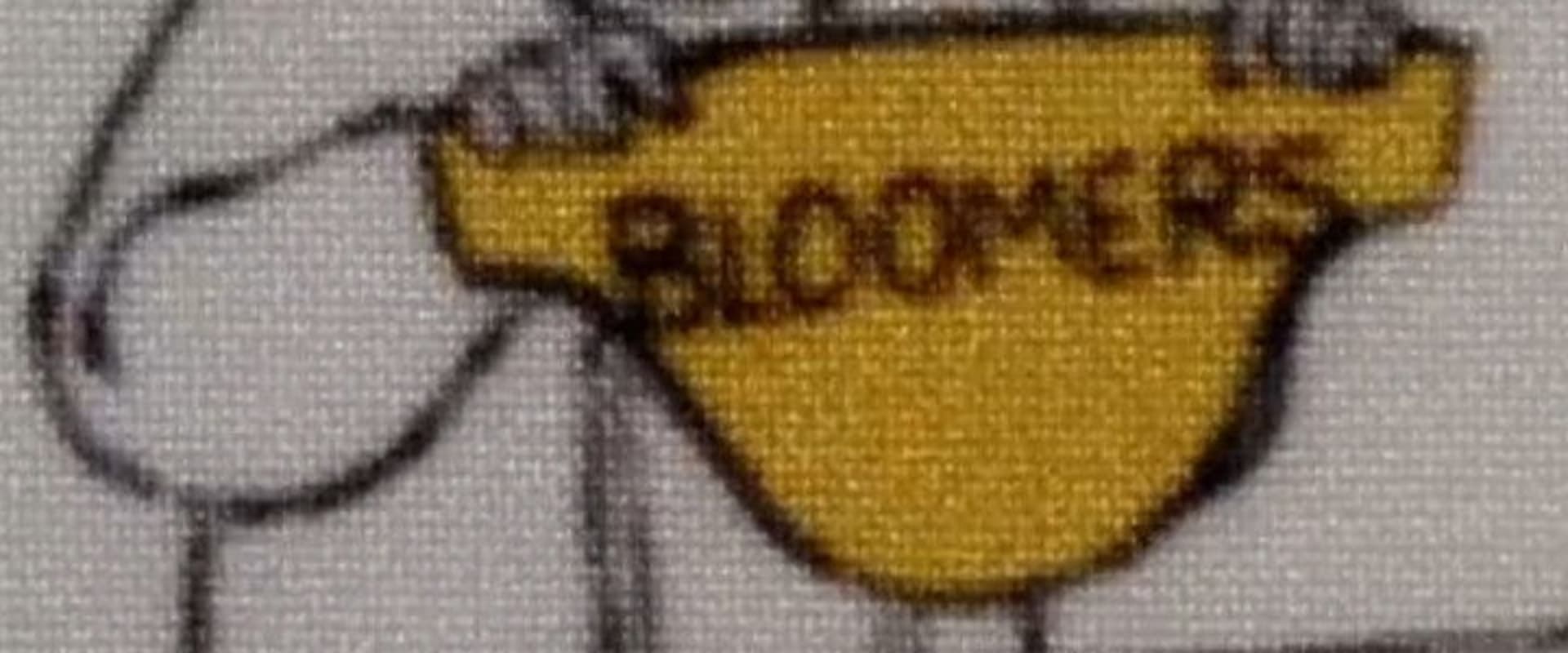 Documentary backdrop image for Bloomers (2019)
