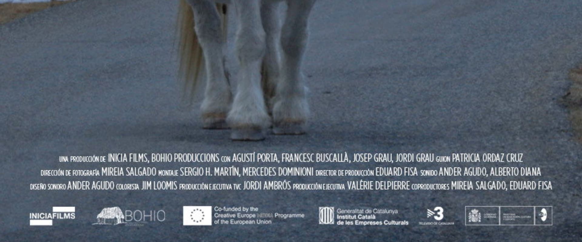 Documentary backdrop image for Toloriu (2019)
