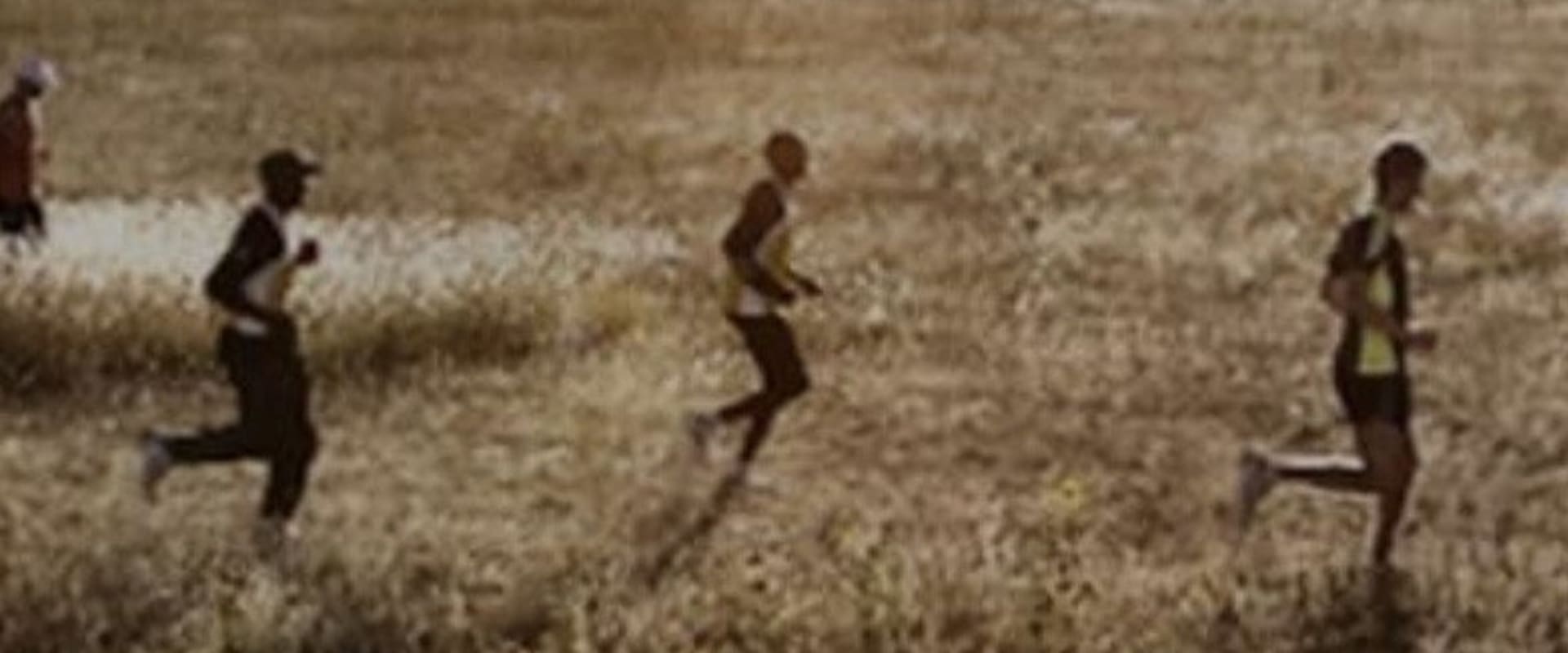Documentary backdrop image for Fair Chase (2014)