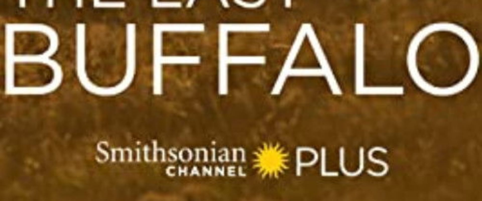 Documentary backdrop image for The Last Buffalo (2017)