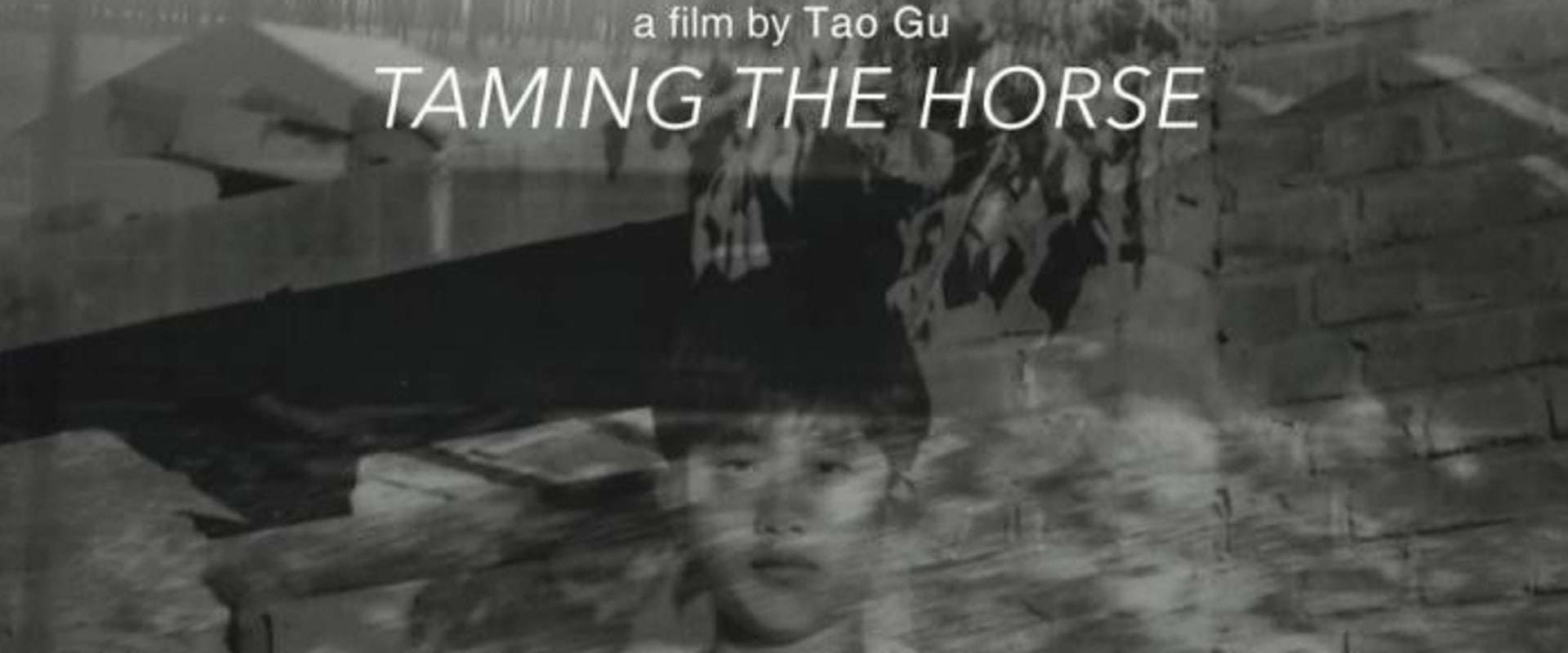 Documentary backdrop image for Taming the Horse (2017)