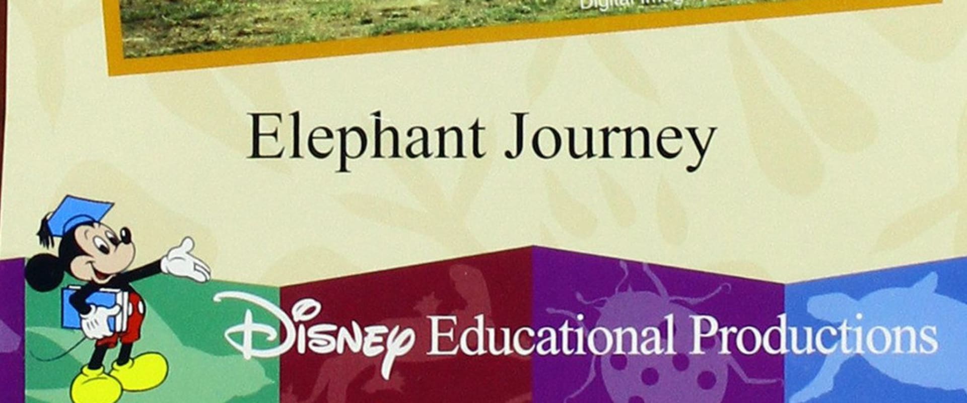 Documentary backdrop image for Elephant Journey (2000)