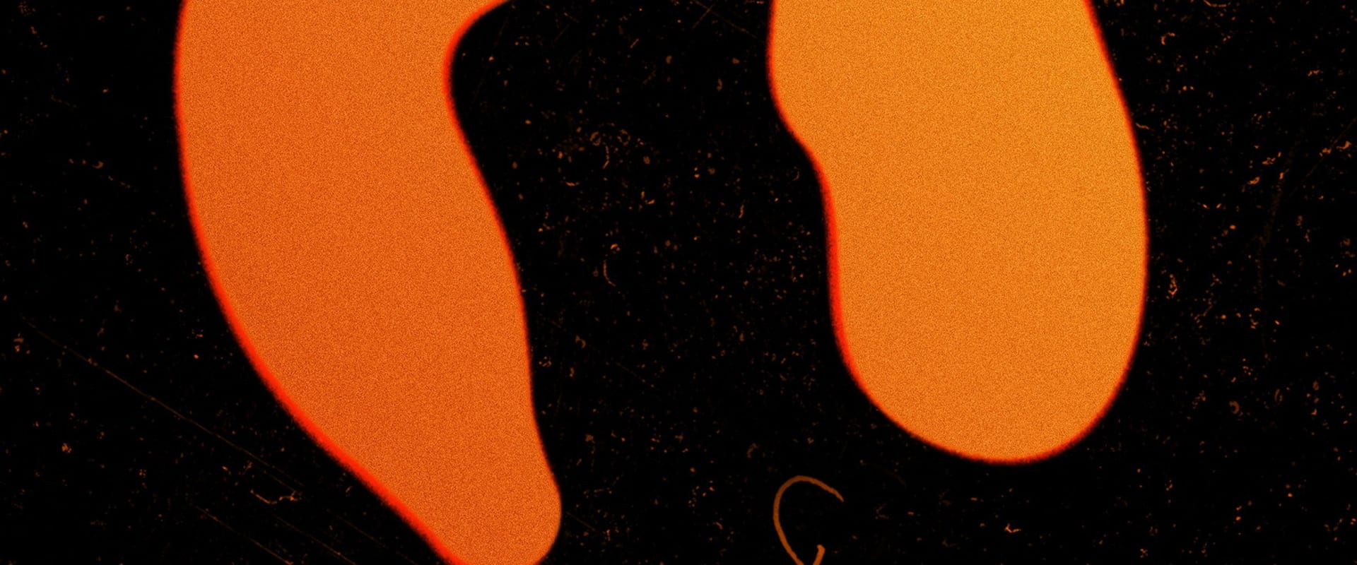 Documentary backdrop image for Dildotectonics (2023)