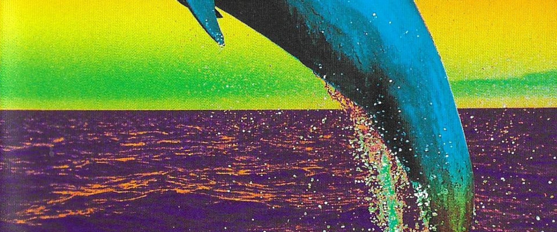Documentary backdrop image for Supersense (1988)
