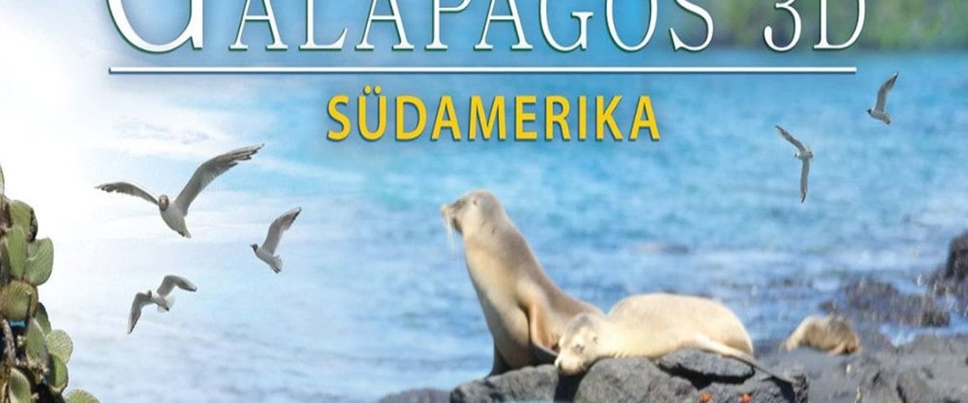 Documentary backdrop image for Fascination Galapagos 3D (2012)