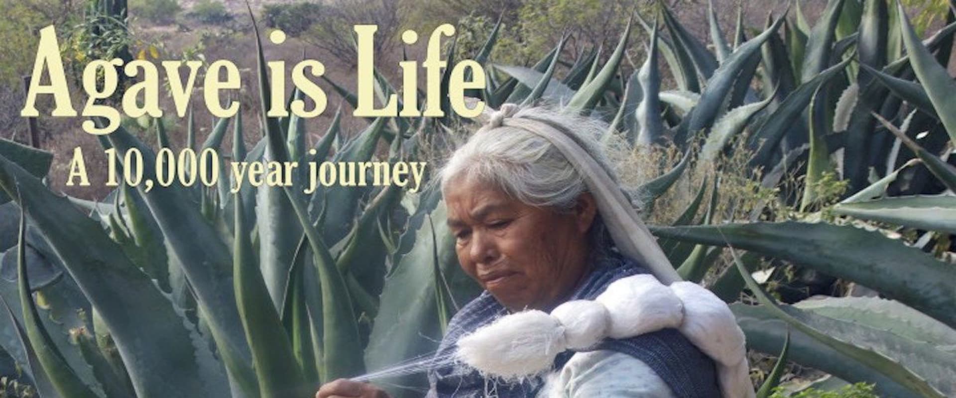 Documentary backdrop image for Agave is Life (2014)