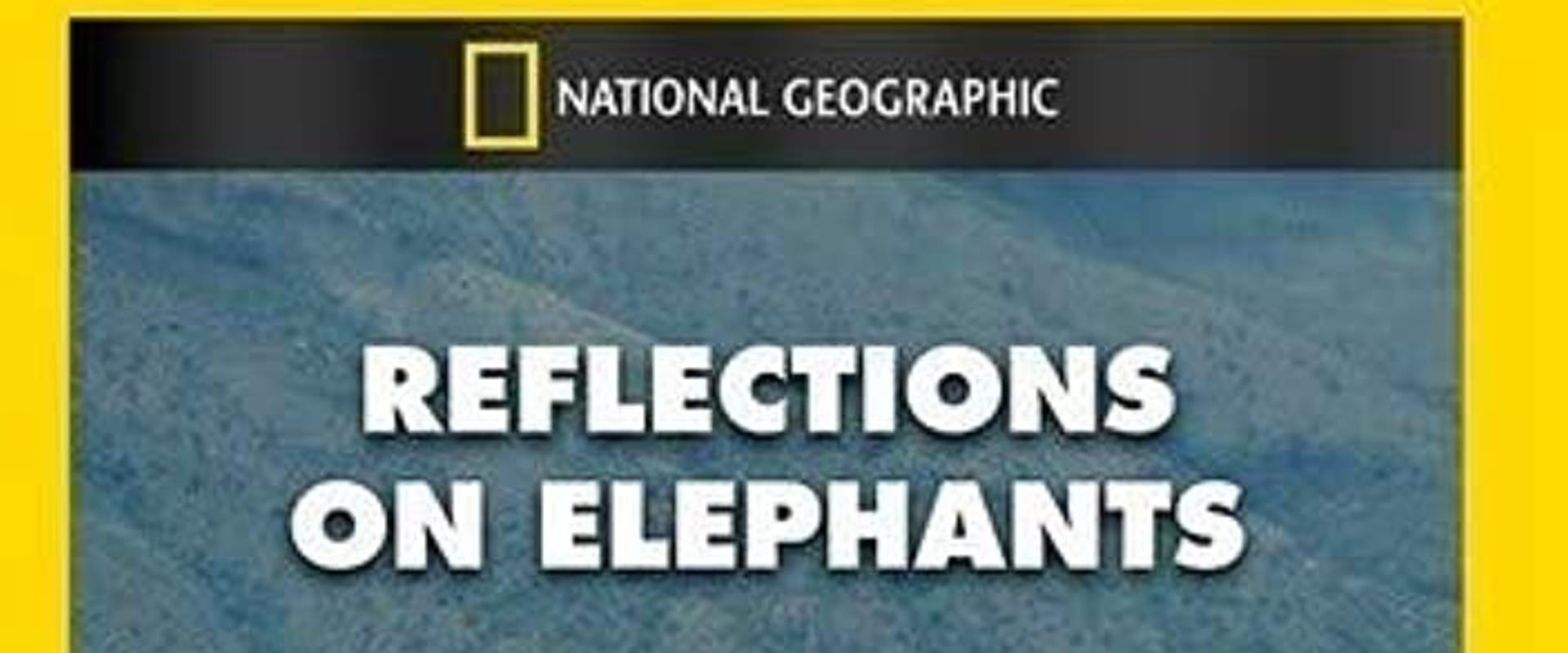 Documentary backdrop image for Reflections on Elephants (1994)