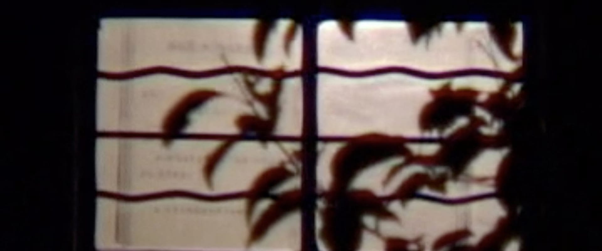 Documentary backdrop image for Jade Green Station (2004)