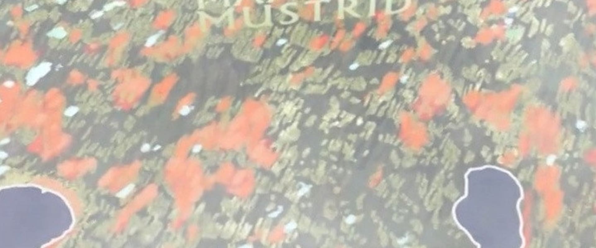 Documentary backdrop image for Maastiku mustrid (2014)