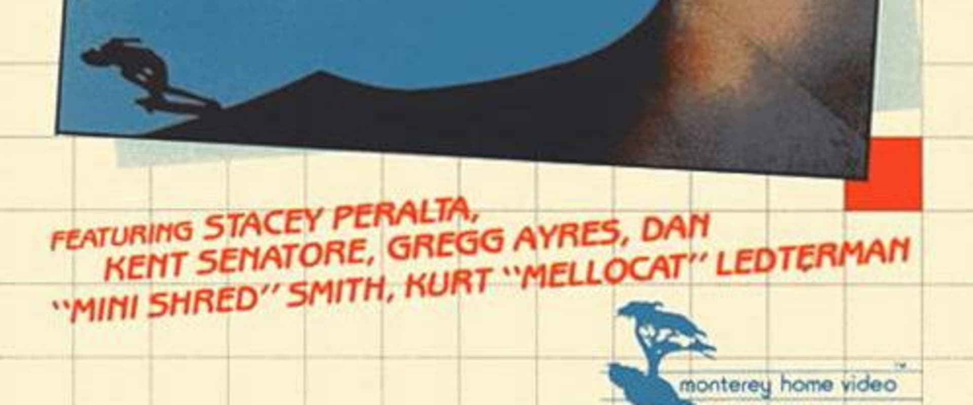 Documentary backdrop image for Skateboard Madness (1980)