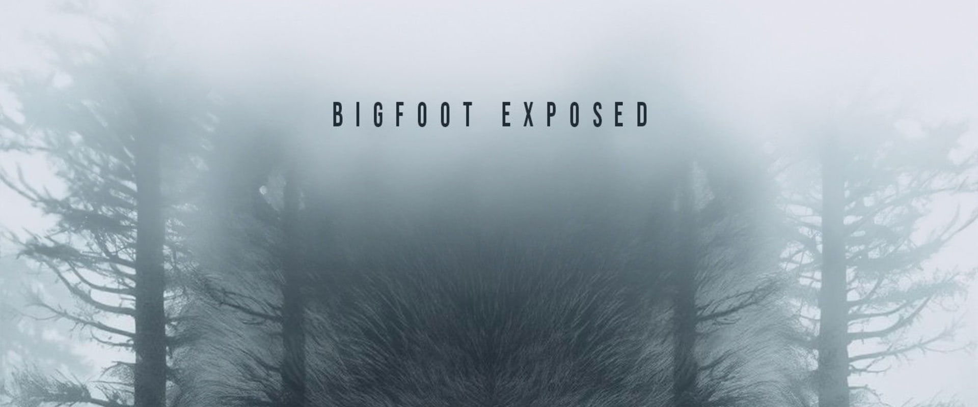 Documentary backdrop image for Forest spirit (2025)