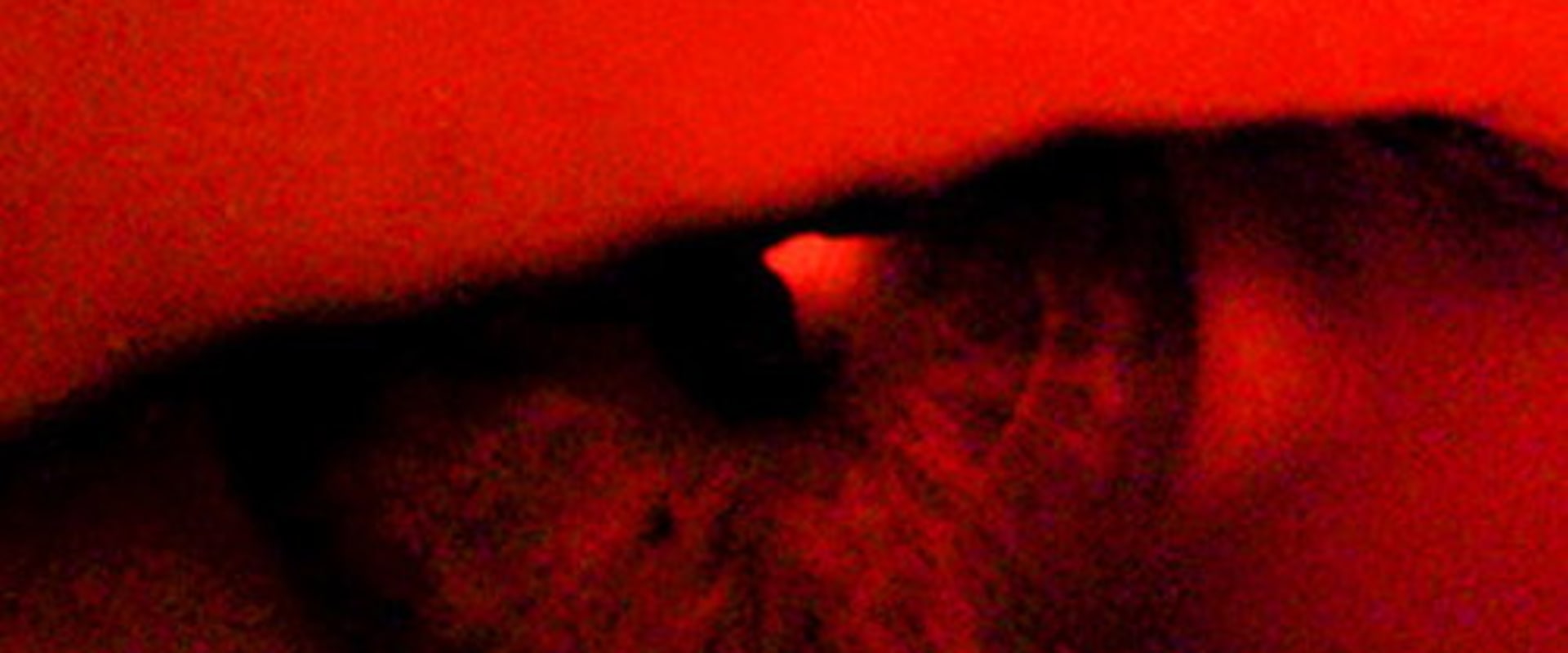 Documentary backdrop image for Charlotte (2004)