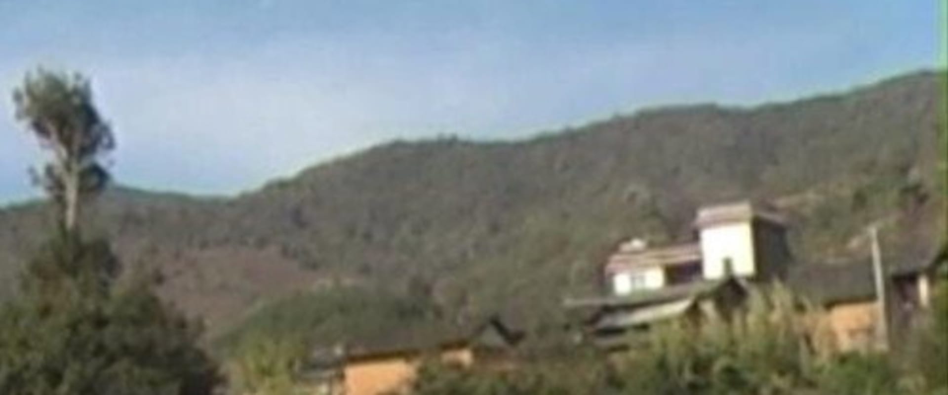 Documentary backdrop image for Huamulin 2012 (2012)