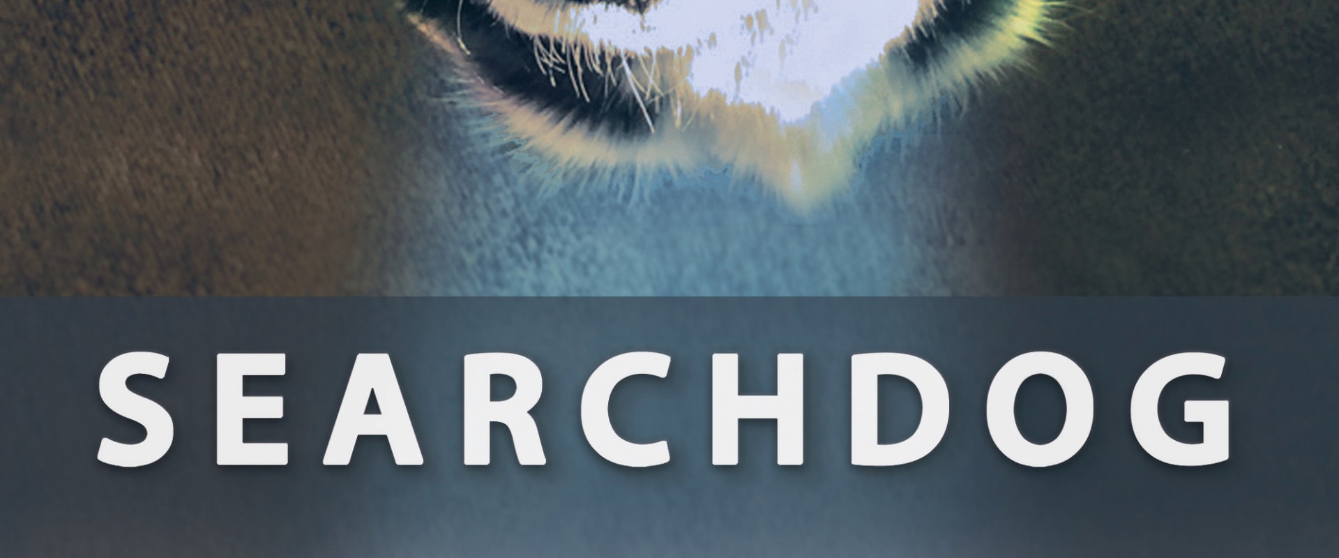 Documentary backdrop image for Searchdog (2016)