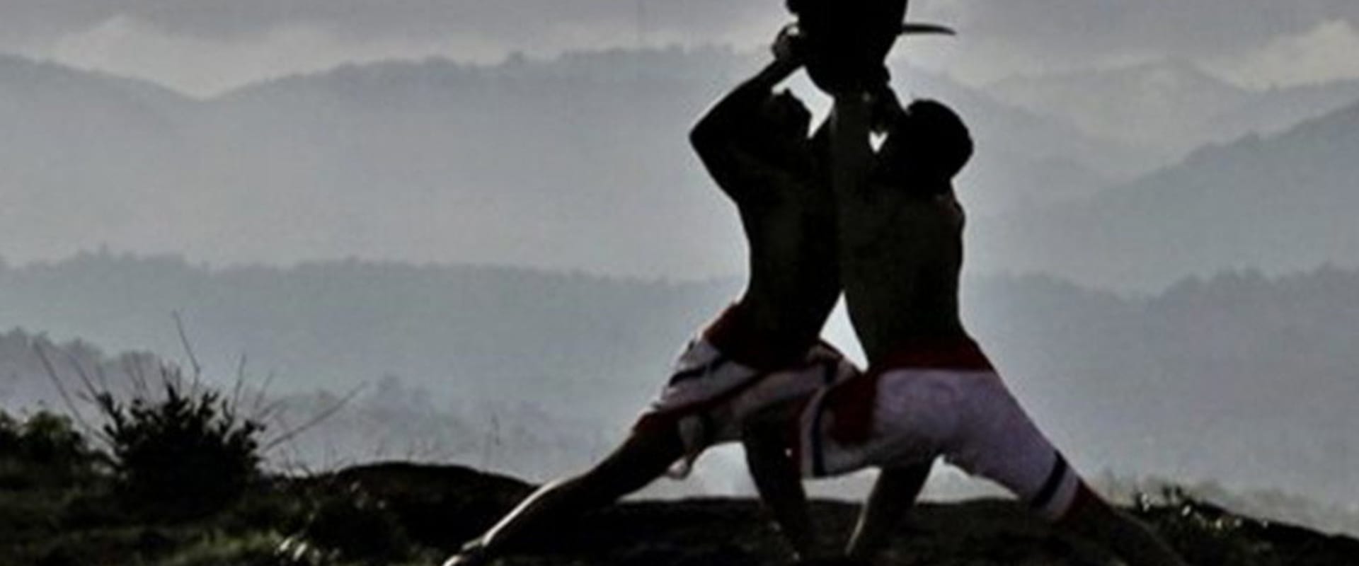Documentary backdrop image for Kalaripayattu (2017)
