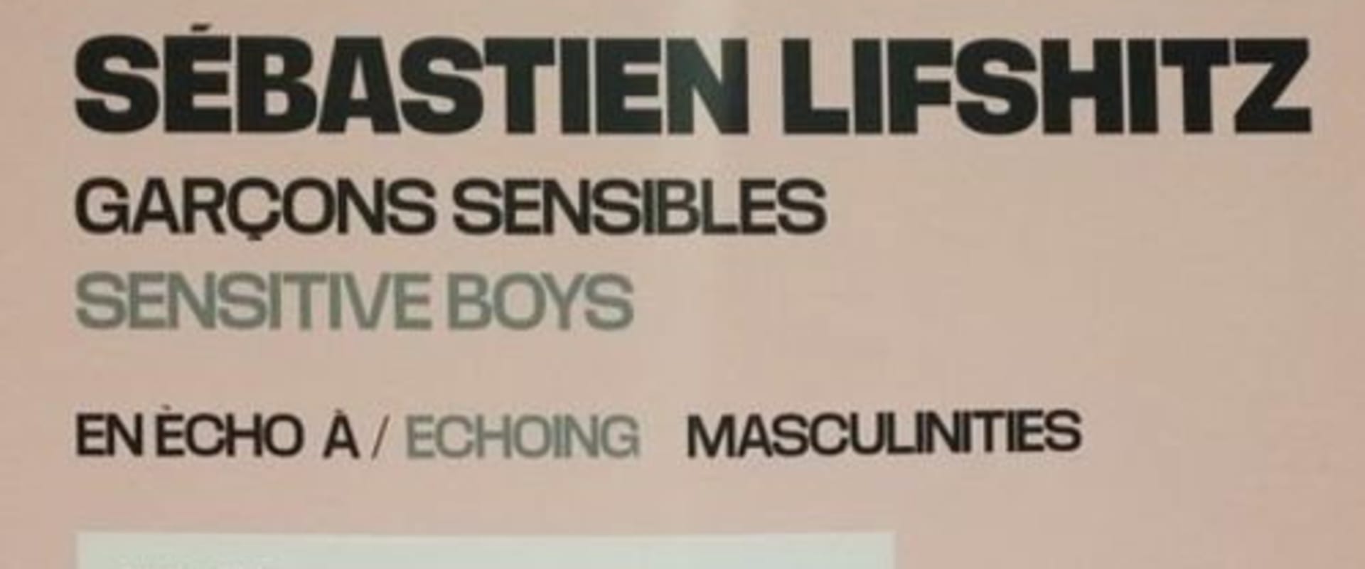 Documentary backdrop image for Sensitive Boys (2021)