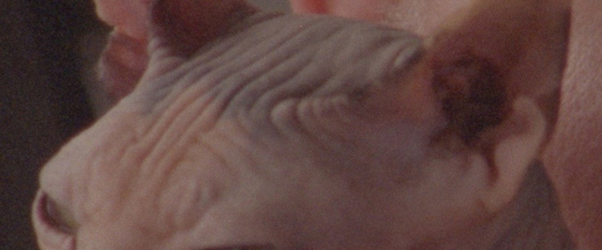 Documentary backdrop image for Dorothy Towers (2022)