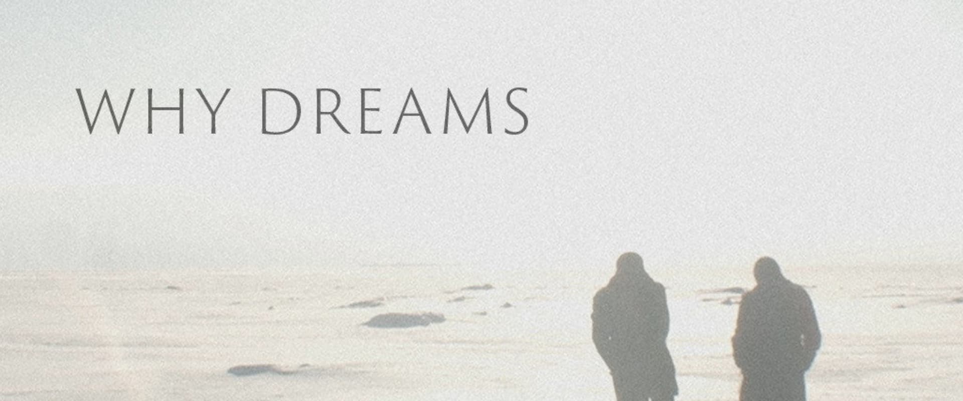 Documentary backdrop image for Why Dreams (2021)