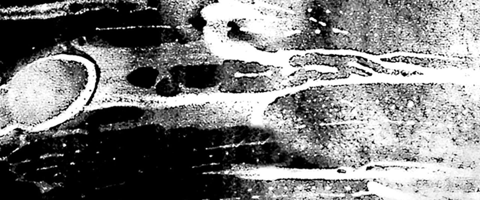 Documentary backdrop image for Losing the Light (2023)