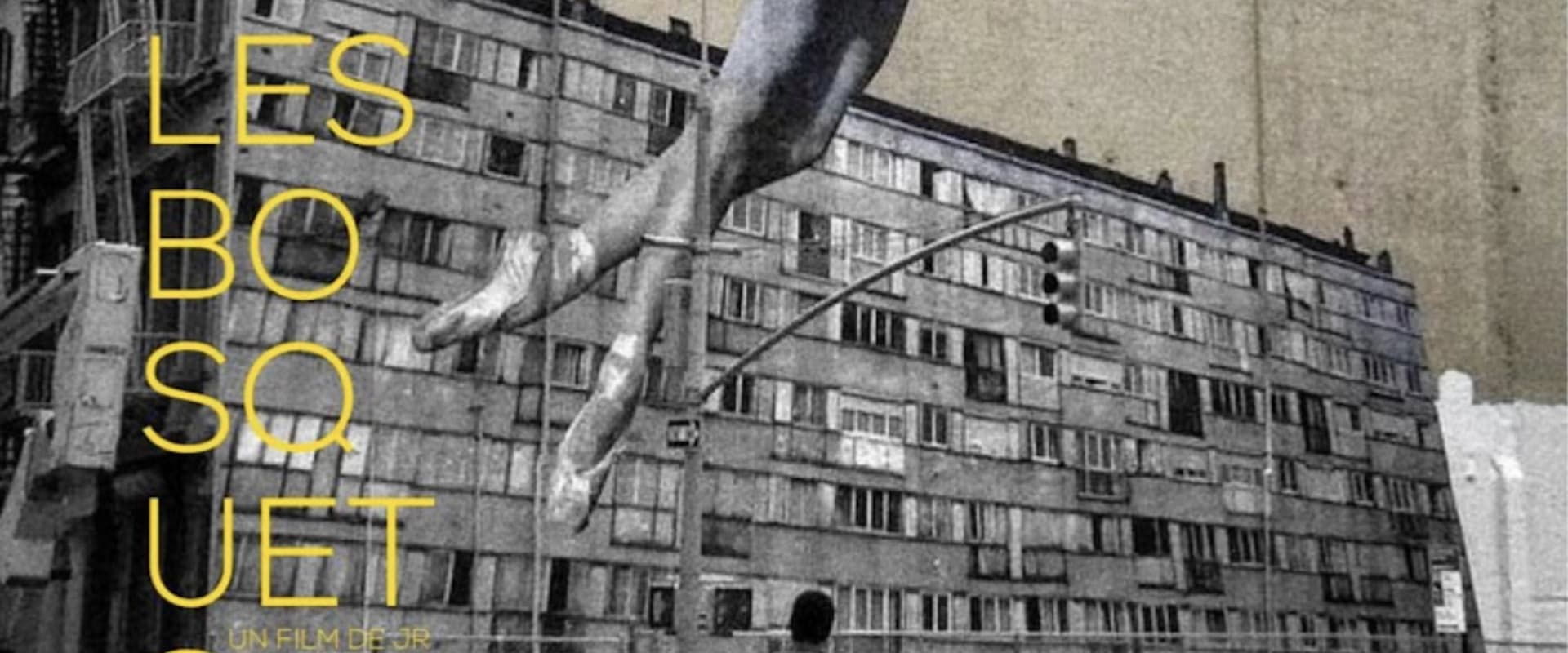 Documentary backdrop image for Les Bosquets (2015)