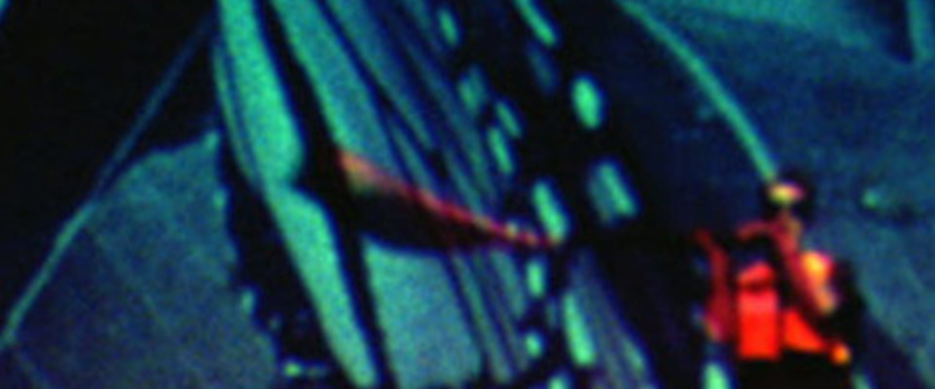 Documentary backdrop image for Butterfly Disaster (2019)