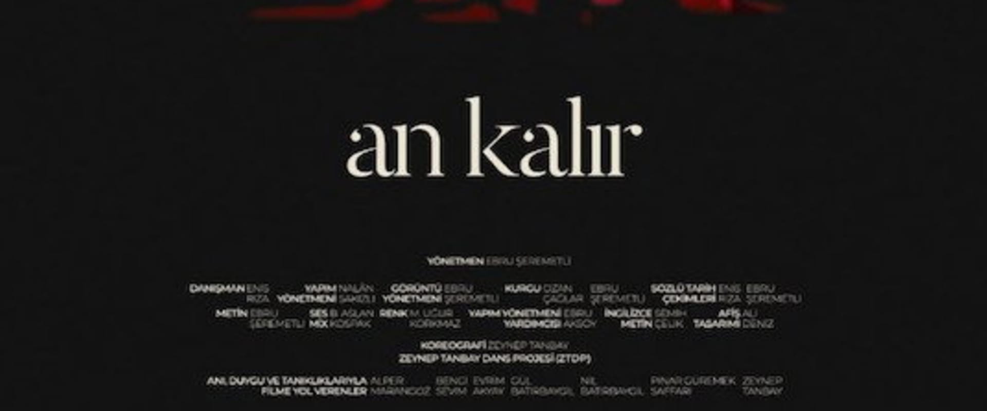 Documentary backdrop image for An Kalır (2021)