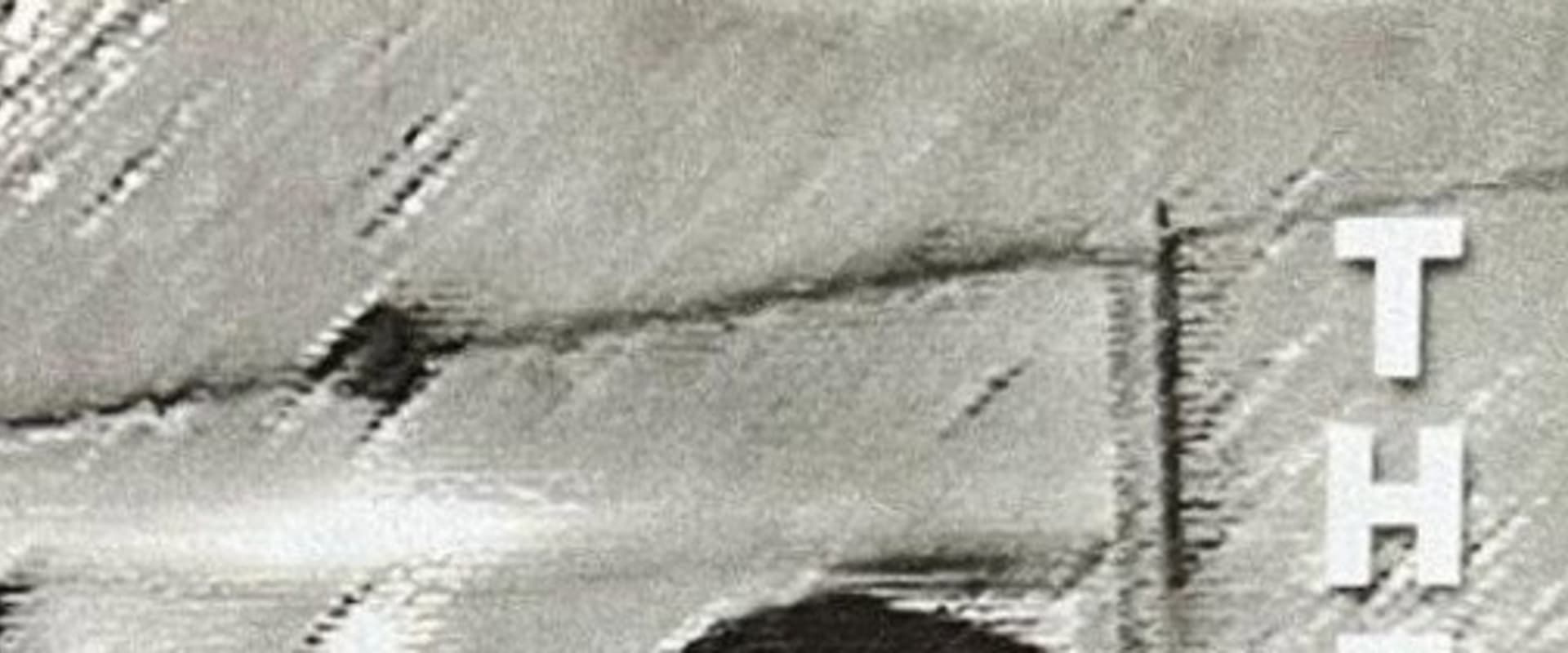 Documentary backdrop image for The Ladies' (2003)