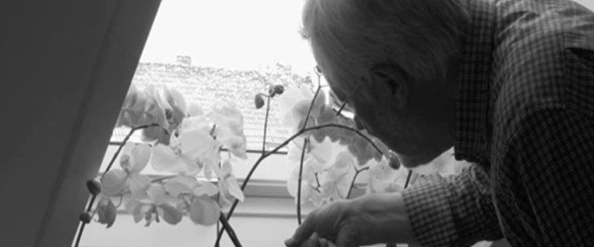 Documentary backdrop image for Biotope (2018)