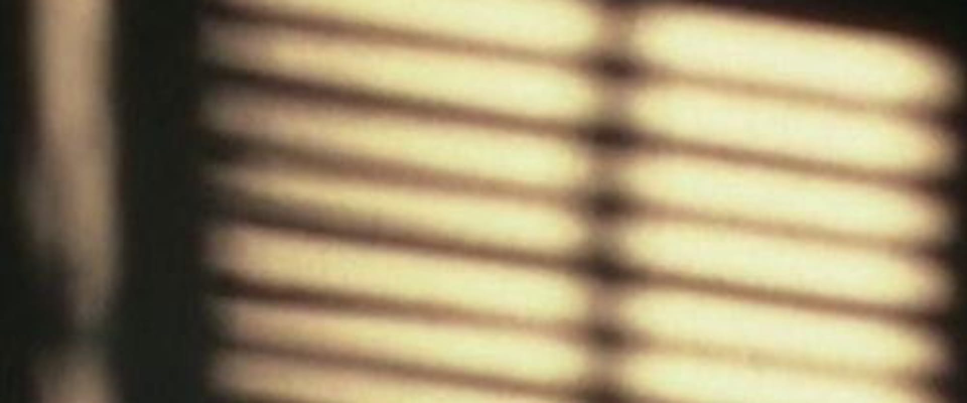 Documentary backdrop image for Fragments (1987)