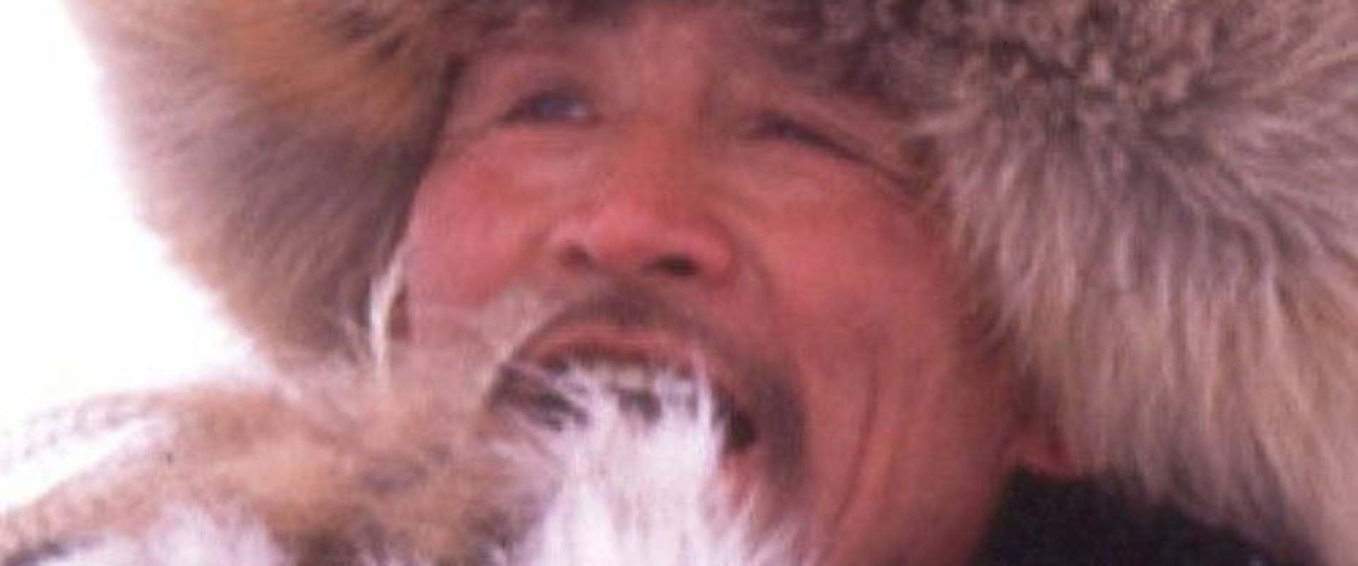 Documentary backdrop image for Herdsmen (2001)
