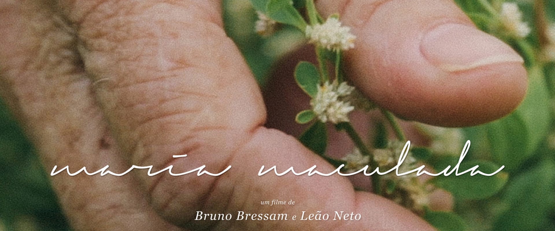 Documentary backdrop image for Maria Maculada (2018)