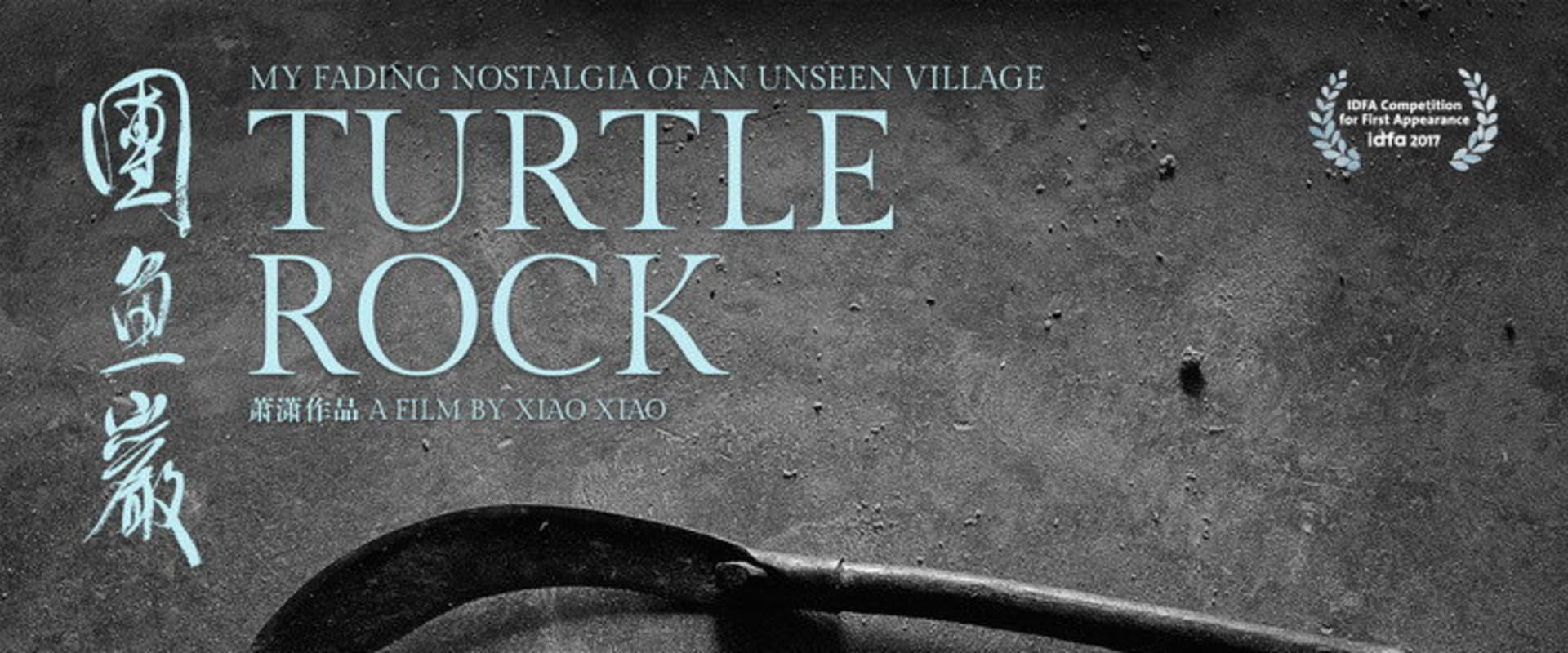 Documentary backdrop image for Turtle Rock (2017)