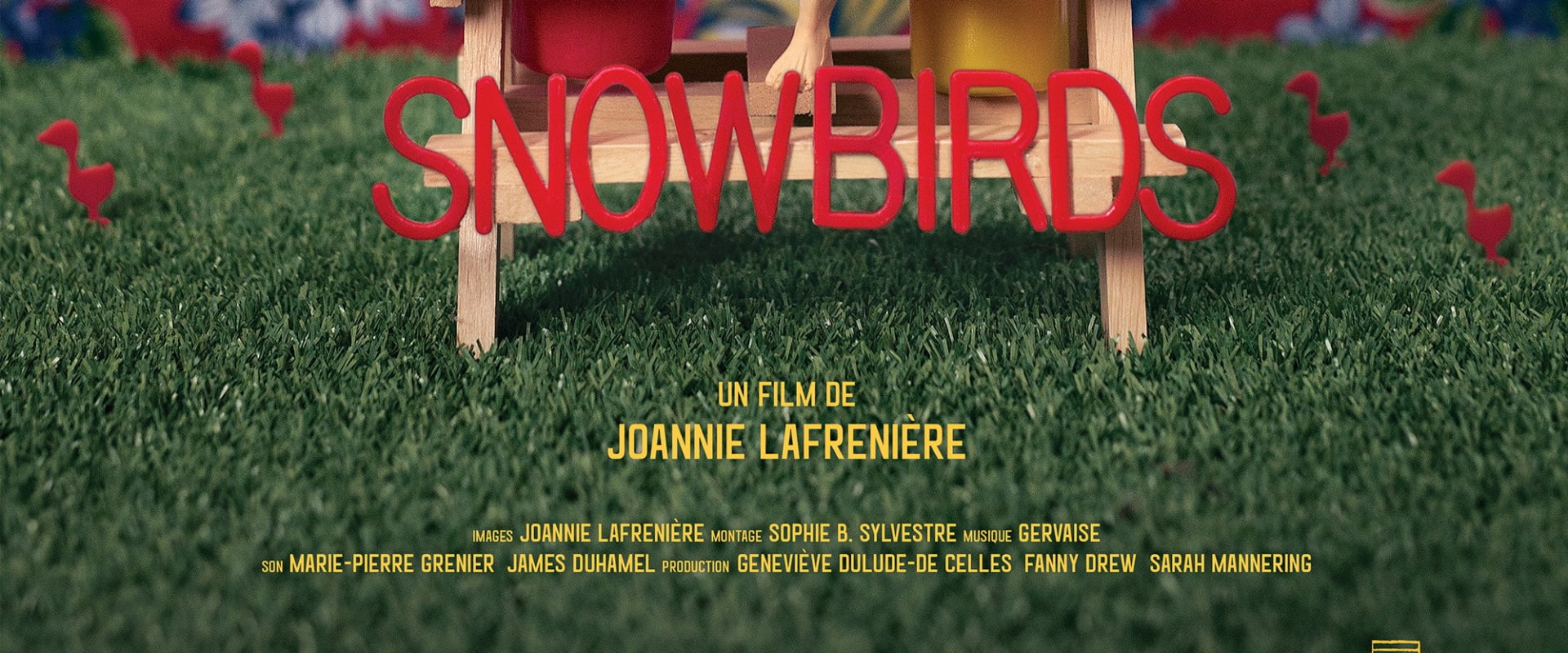 Documentary backdrop image for Snowbirds (2018)