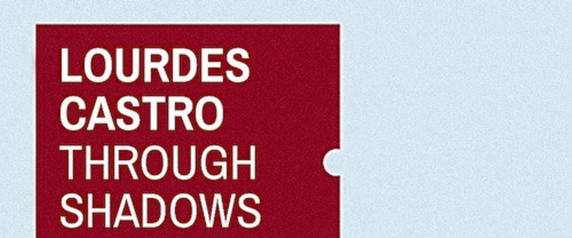 Documentary backdrop image for Through Shadows (2010)