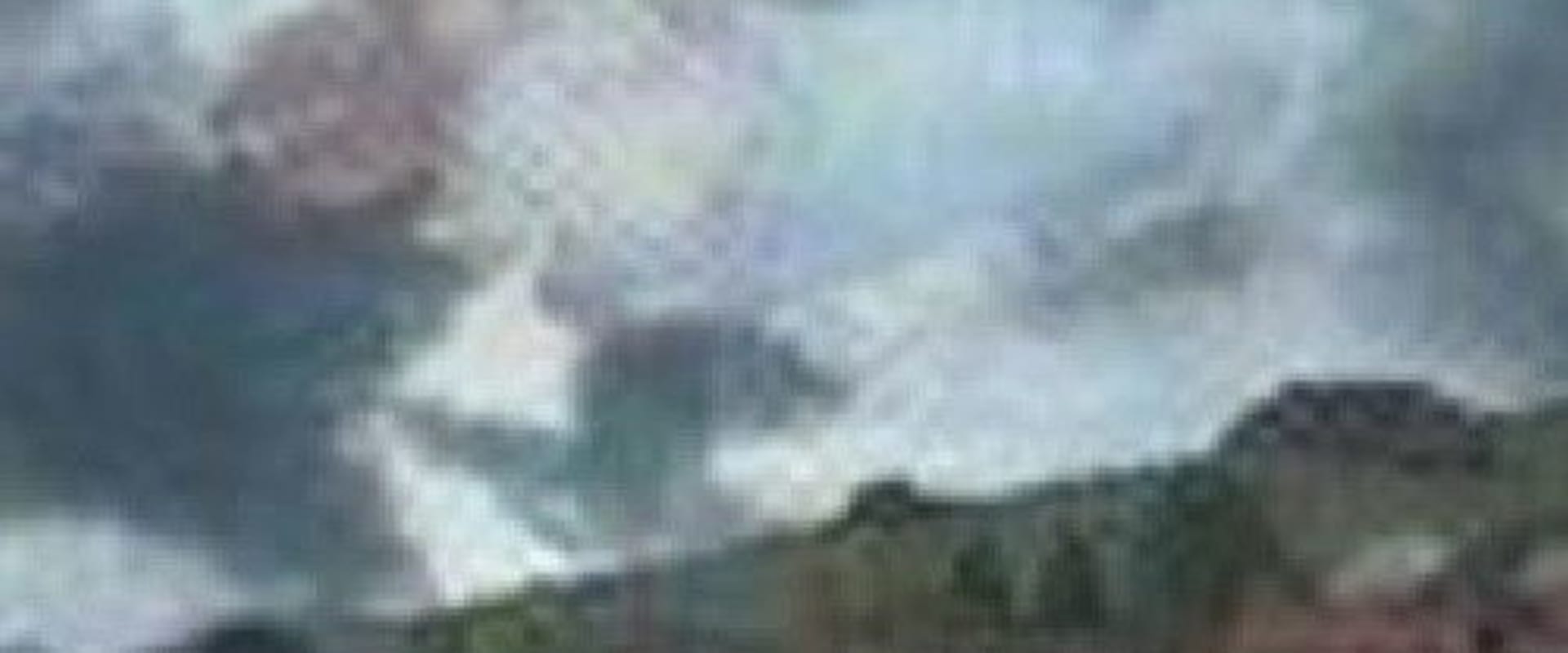Documentary backdrop image for The Bus (1993)