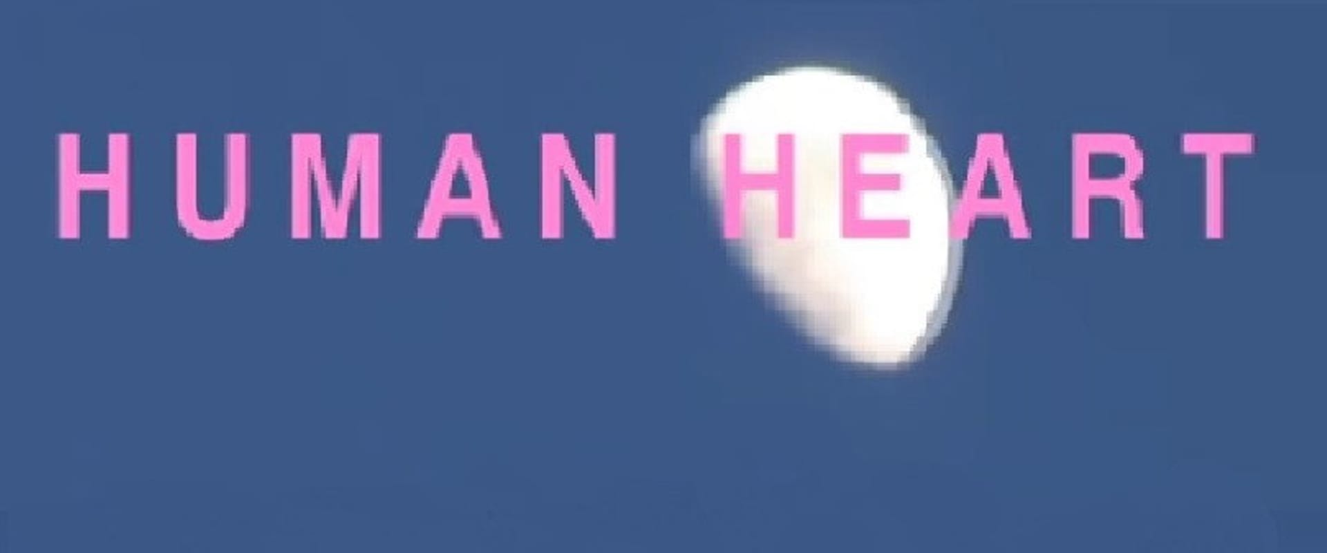 Documentary backdrop image for HUMAN HEART (2010)