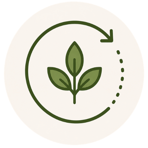 Holistic Care