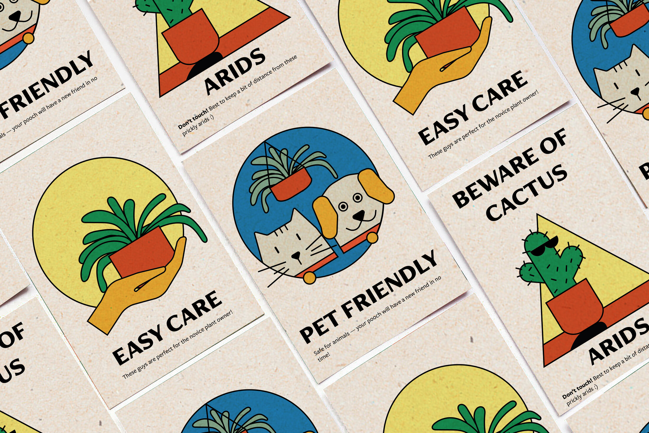Care traits: easy care, pet friendly, beware of cactus