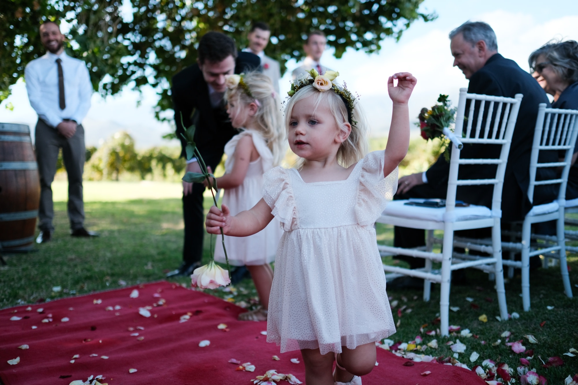 A little flower girl in a pink dress on the aisle, rose in hand