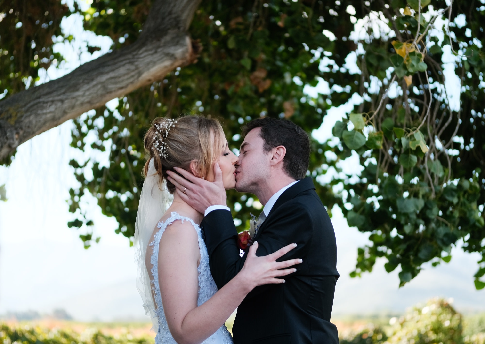 The bride and groom's first kiss under the oak, vineyards beyond