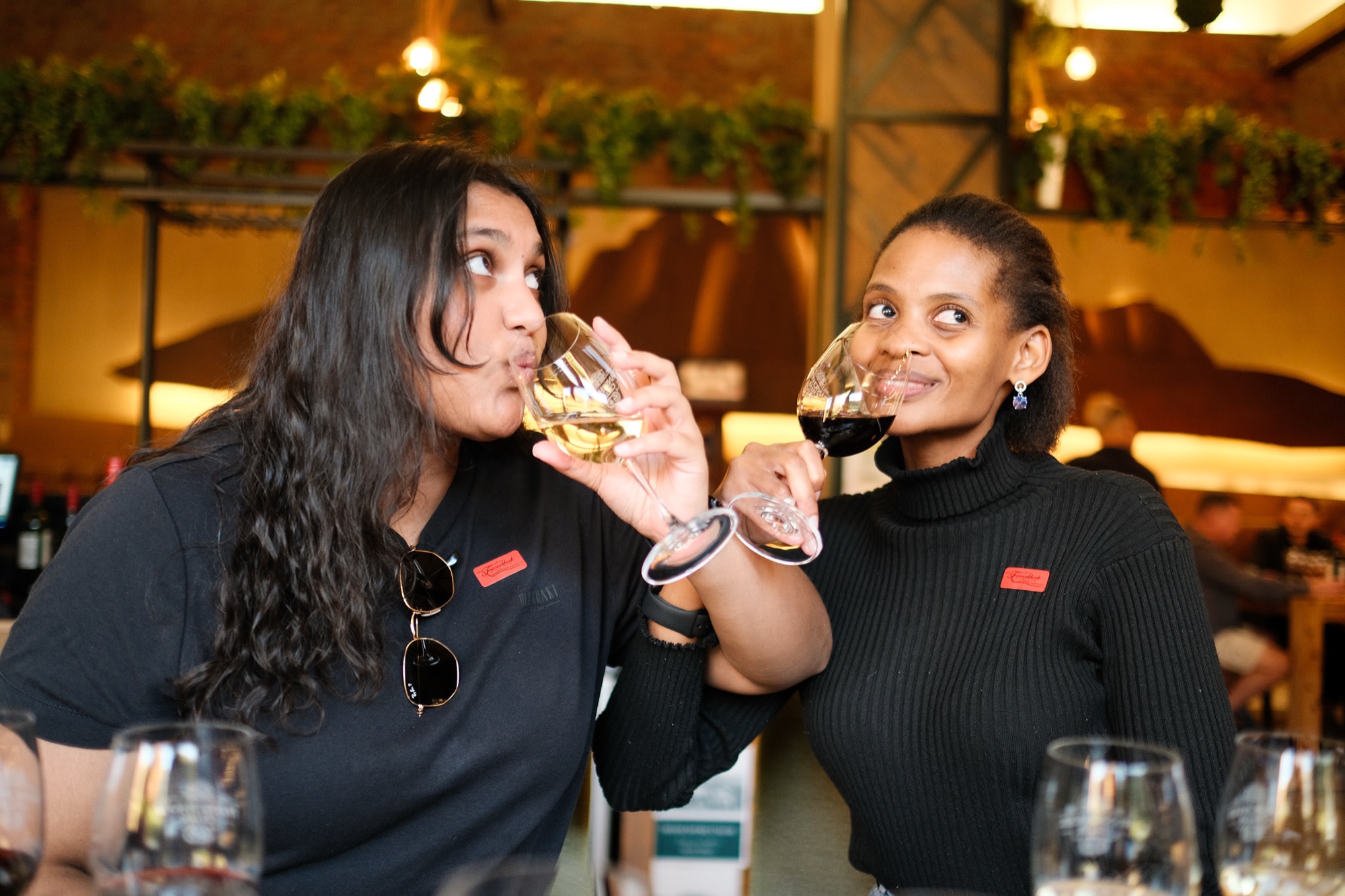 Two friends clinking glasses at a wine tasting