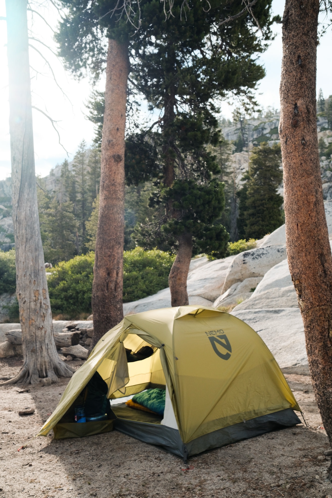 A NEMO tent pitched among tall pines
