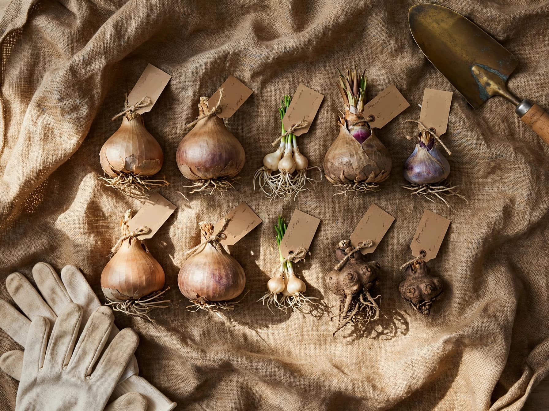 Ten squirrel proof bulbs arranged on burlap with blank kraft tags, gloves, and a trowel