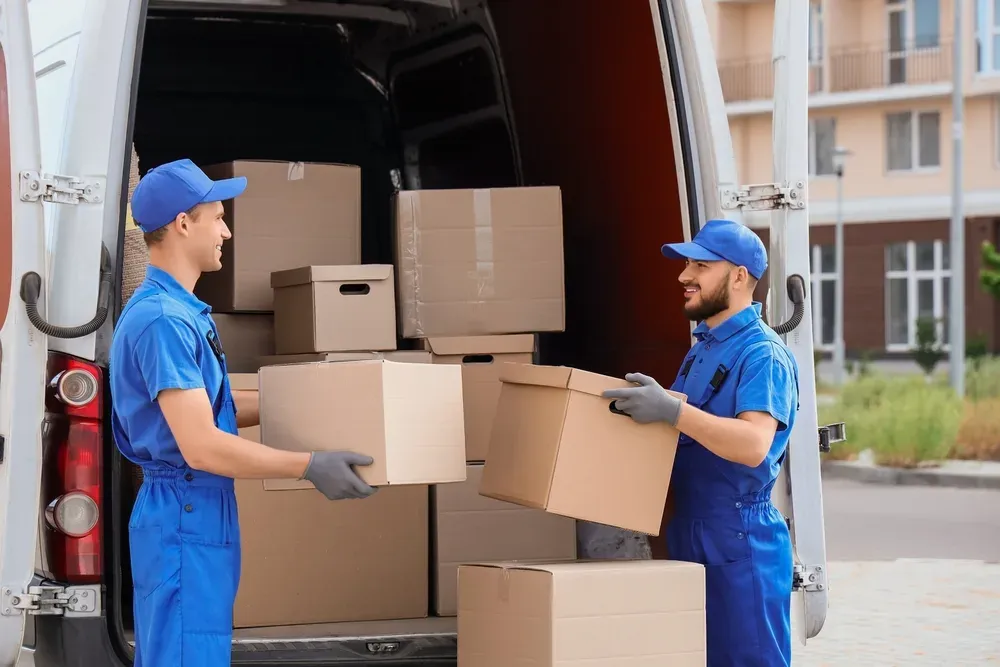 Removalists in Sandringham