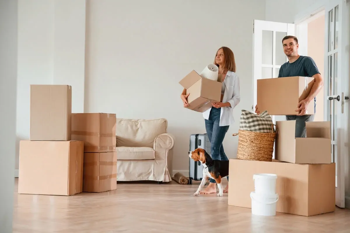 Removalists in Carrum