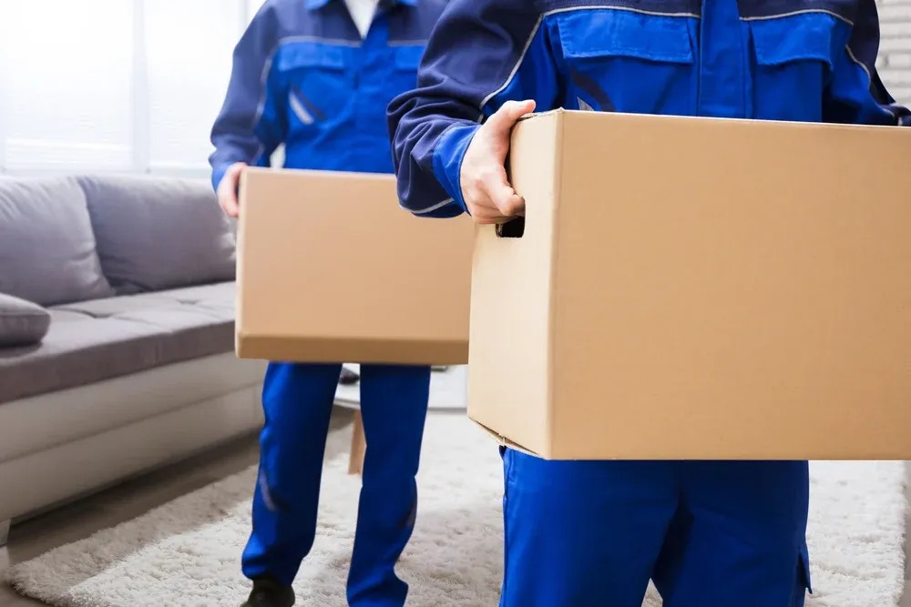 Removalists in Cranbourne