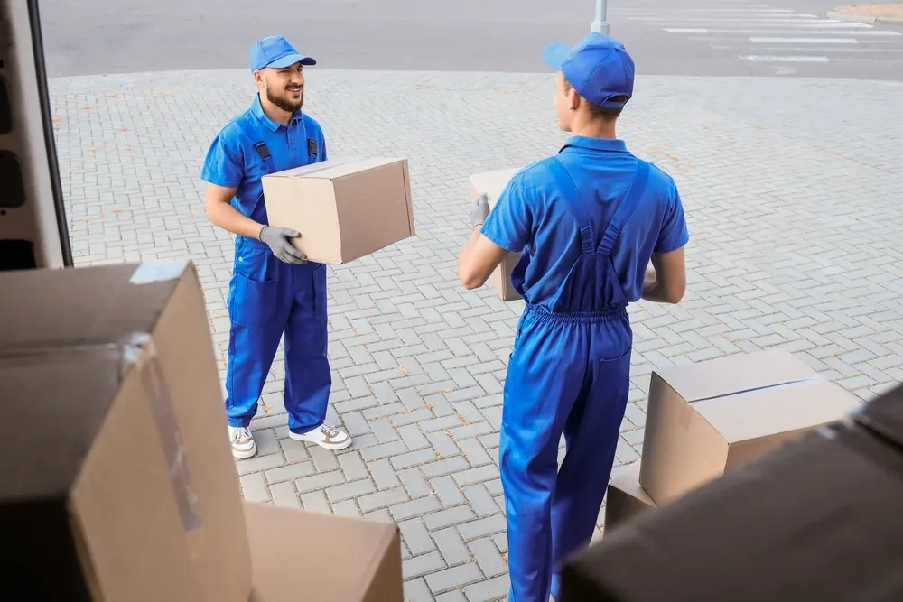 Removalists in Malvern